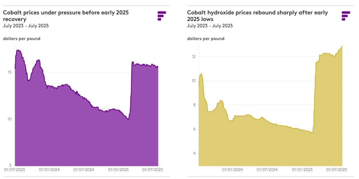 1767085469421608.png cobalt prices.png